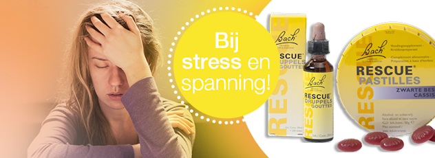 Stress en innerlijke onrust? Bach to the rescue!