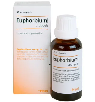 Heel Euphorbium compositum h (30 ml)
