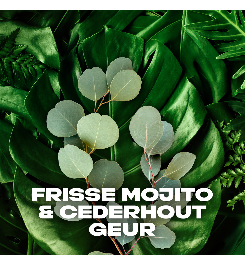 Axe Showergel wildgreen mojito & cederwood (250 ml) - image 4