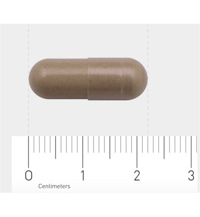 AOV 1030 Paddenstoelencomplex (60 vega capsules) - image 3