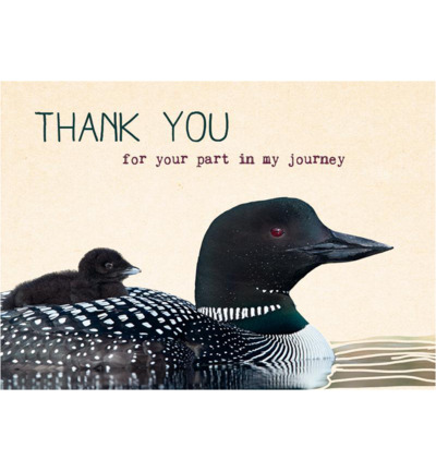 Eco Cards postkaart tl63 (1 stuk)