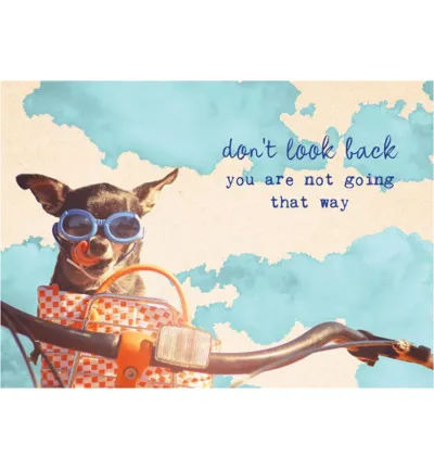 Eco Cards Postkaart Tl139 (1 stuk)