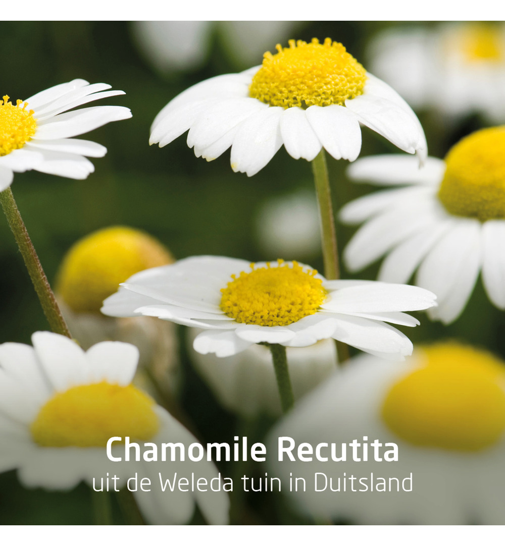 WELEDA Planten tandpasta (75 ml) - image 4