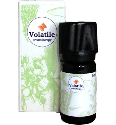 Volatile Khella Bio (2,5 ml)