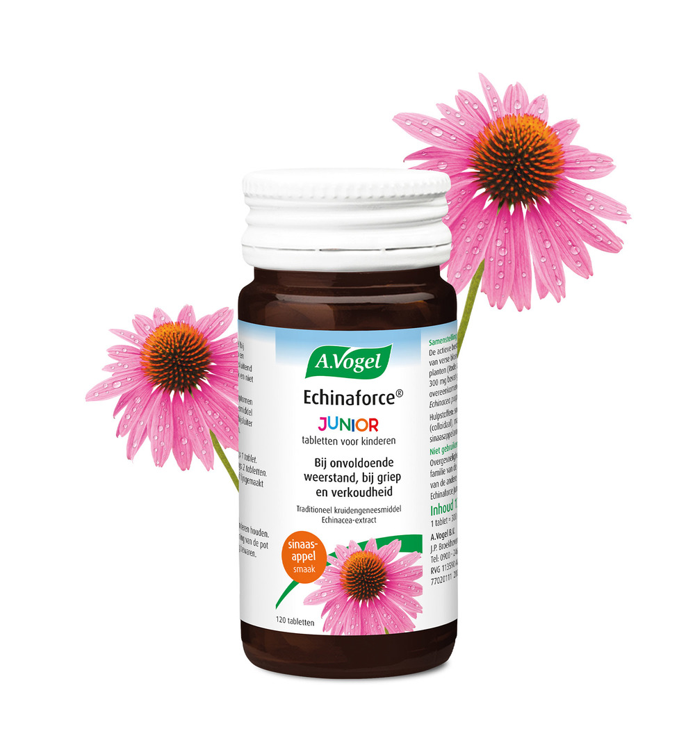 A.Vogel Echinaforce Junior (120 Tabletten)