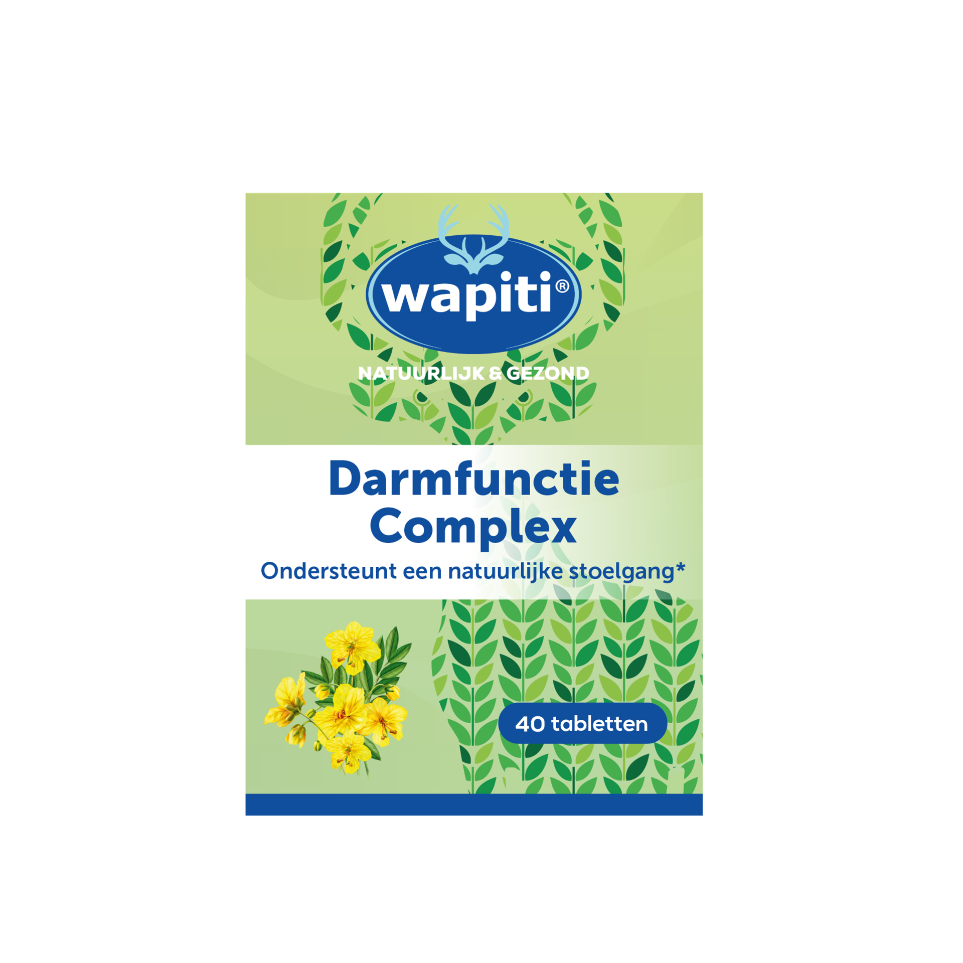 Wapiti Darmfunctie complex (40 tabletten)