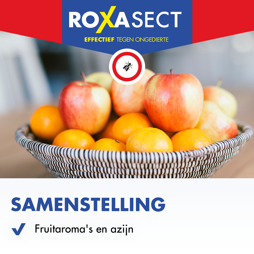 Roxasect Fruitvliegjes (1 stuk) - image 4