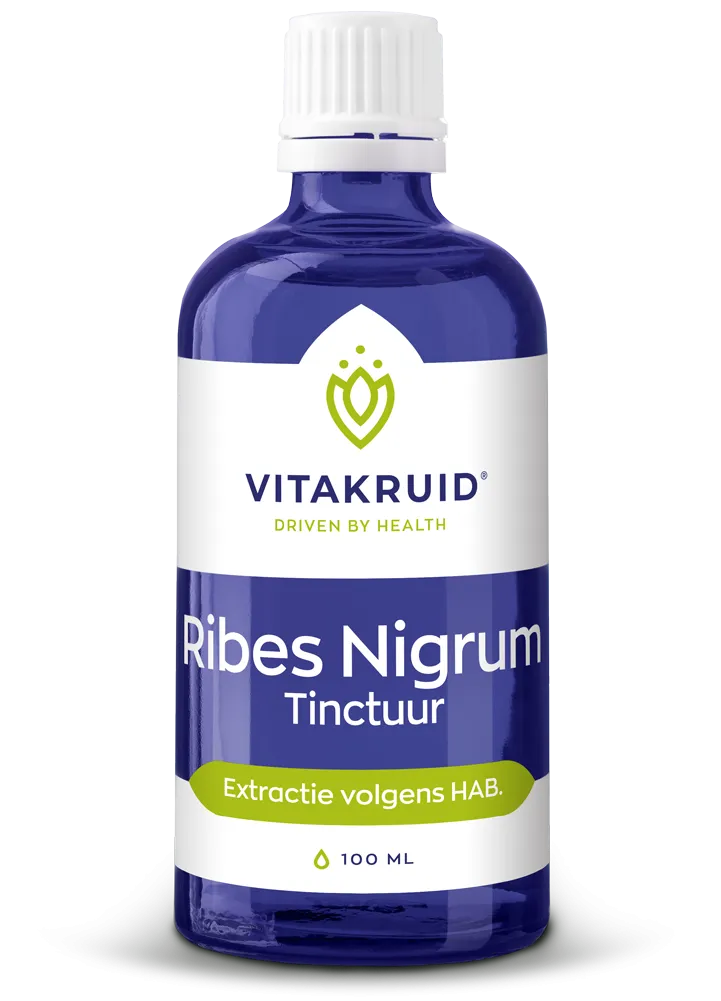 Vitakruid Ribes Nigrum Zwarte Bes Tinctuur 1:10 (100 ml)
