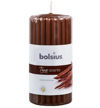 Bolsius True Scents Stompkaars Geur 120/58 Old Wood (1 stuk)