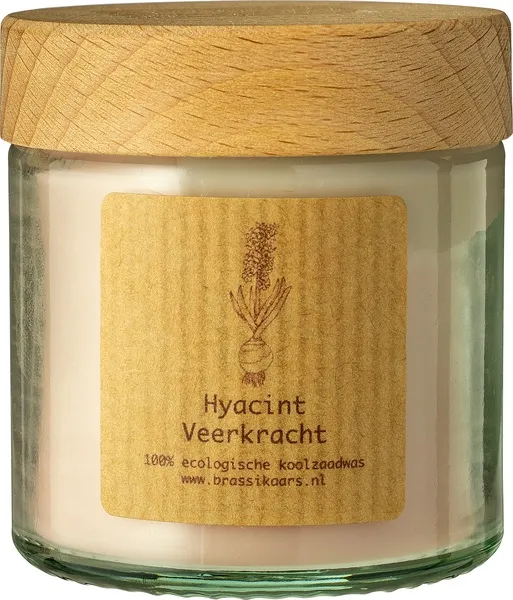 Brassikaarsen Kaars Potje Hyacint (1 stuk)