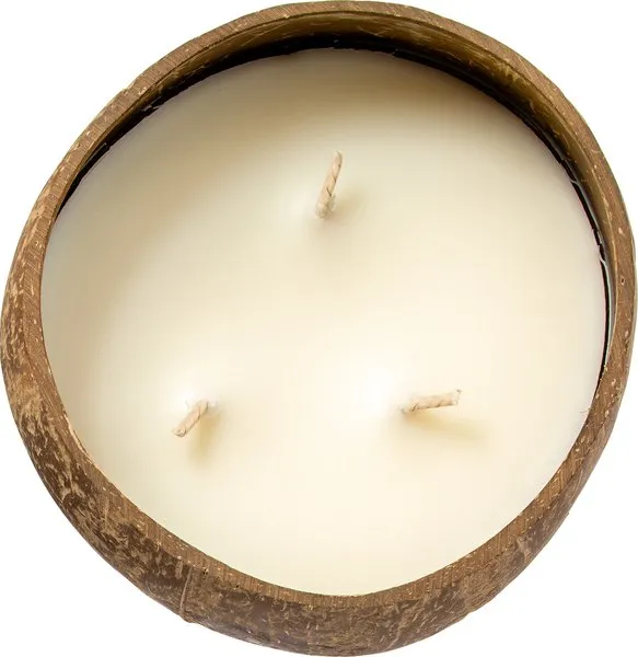 Brassikaarsen Kaars Kokosbakje Citronella (1 stuk)