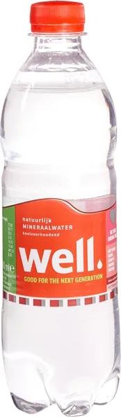 Well Bronwater Met Koolzuur (500 ml)