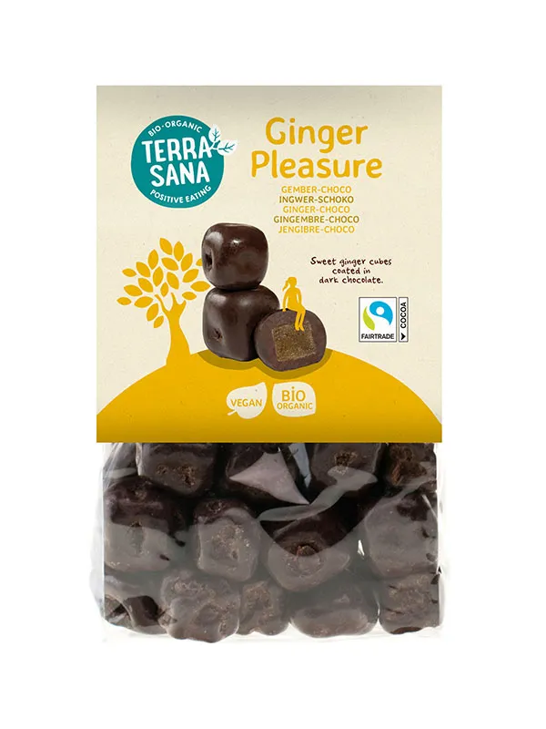 TerraSana Ginger pleasure choco bio (150 gr)