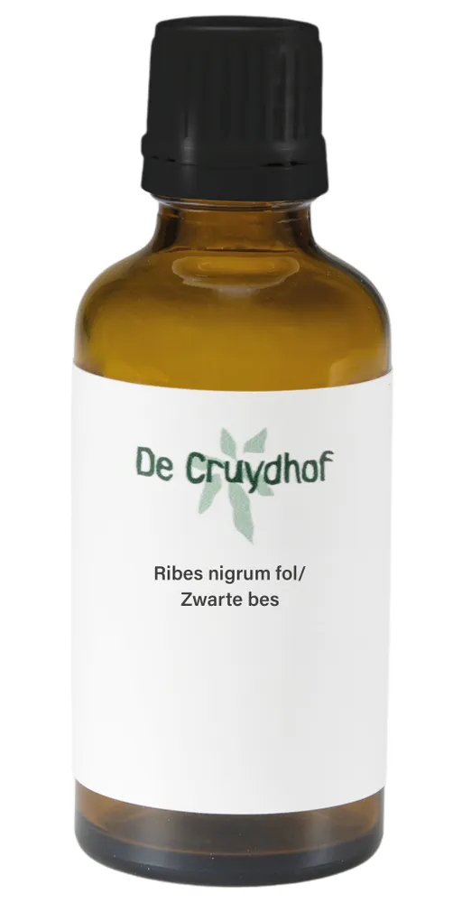 Cruydhof Ribes Nigrum Fol/zwarte Bes Druppels (50 ml)