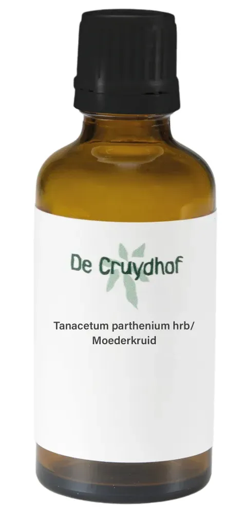 Cruydhof Tanacetum Parthenium Hrb/moederkruid Druppels (50 ml)