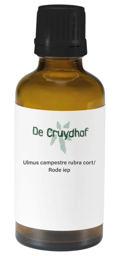 Cruydhof Ulmus Campestre Rubra Cort/rode Iep Druppels (50 ml)