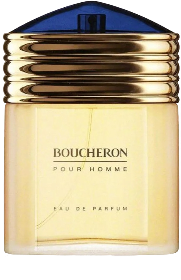 Boucheron Pour Homme Eau De Parfum (100 ml)