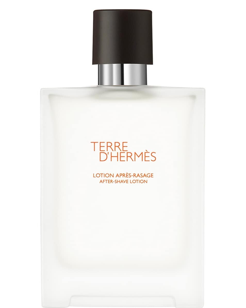 Hermes Hermès Terre D'hermès Aftershave Lotion (100 ml)
