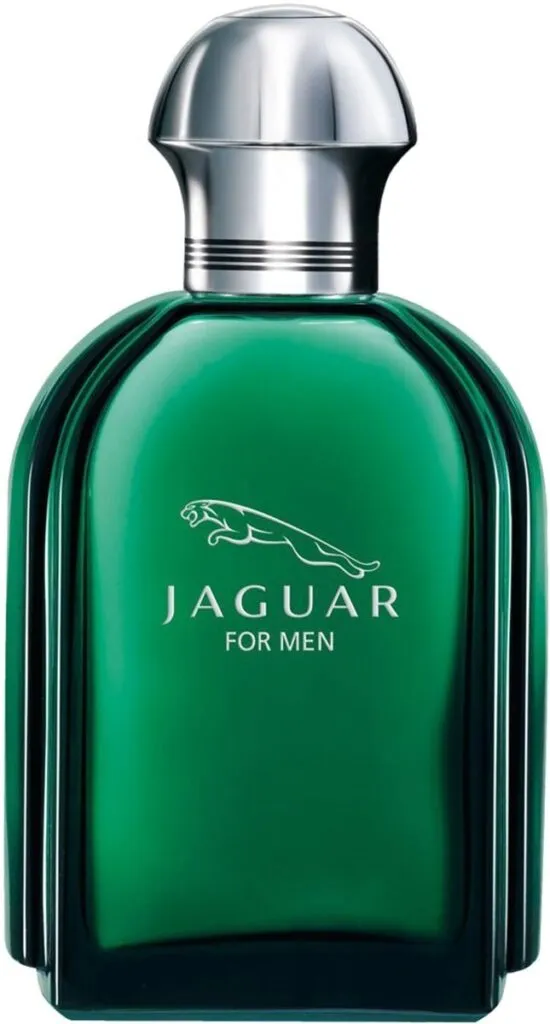 Jaguar For Men Eau De Toilette (100 ml)