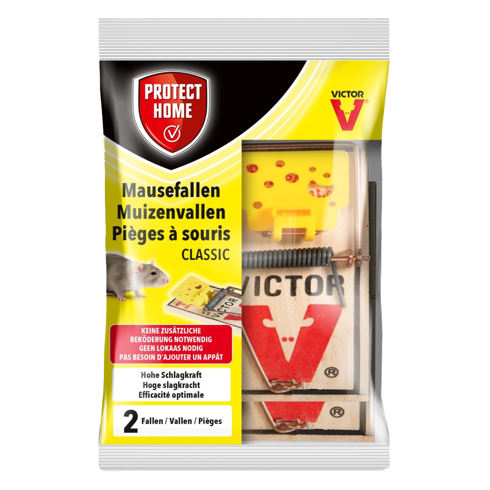 Protect Home Muizenvallen (2 stuks)