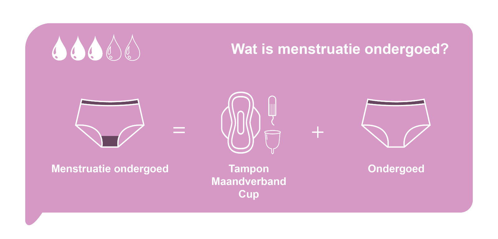 Solite Menstruatieondergoed Bikini Maat L (1 stuk) - image 2