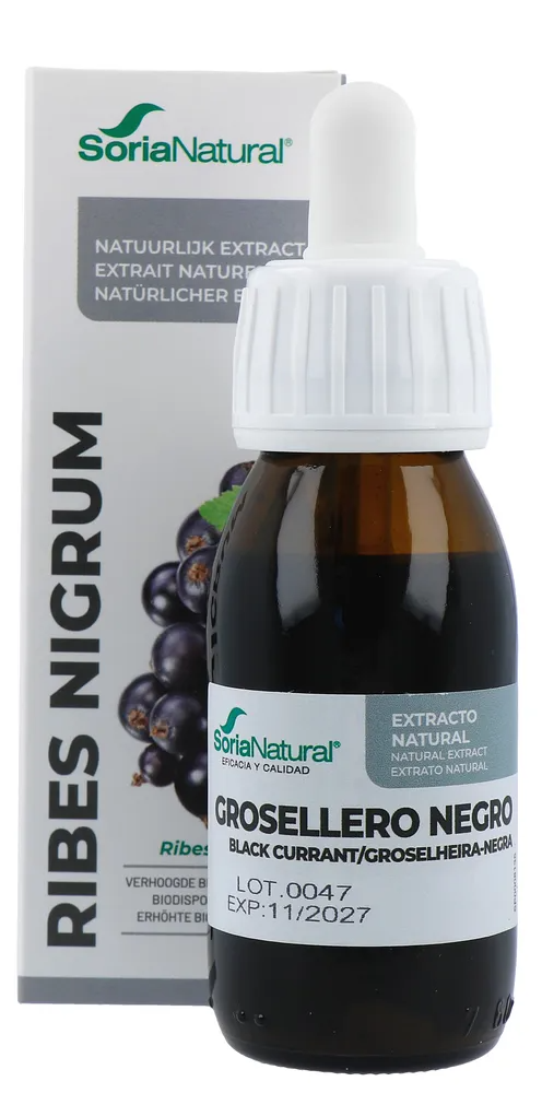 Soria Natural Ribes Nigrum Xxi Extract (50 ml)