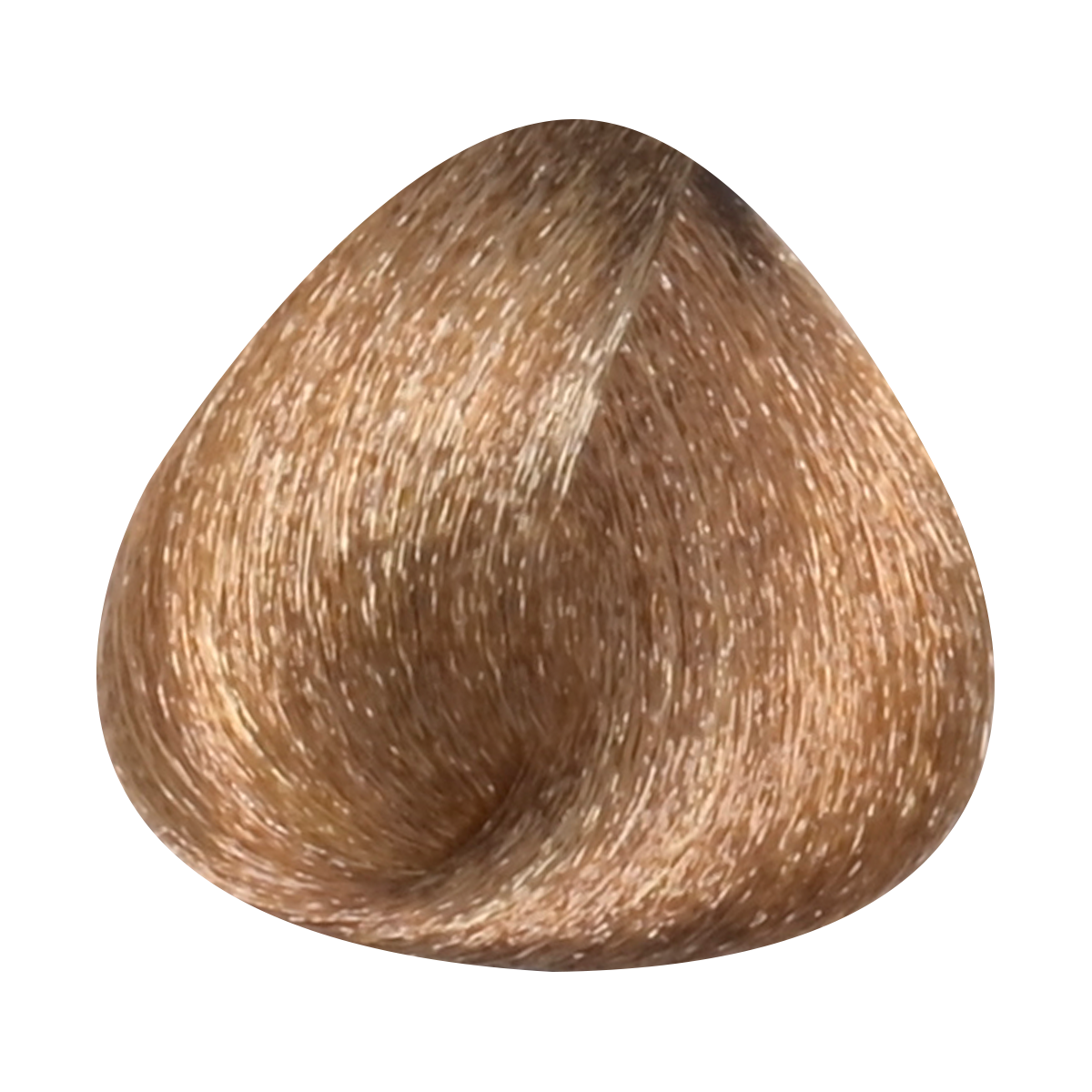 Toujours Trend Color 8.0 Light Blonde Plus (100 ml) - image 3