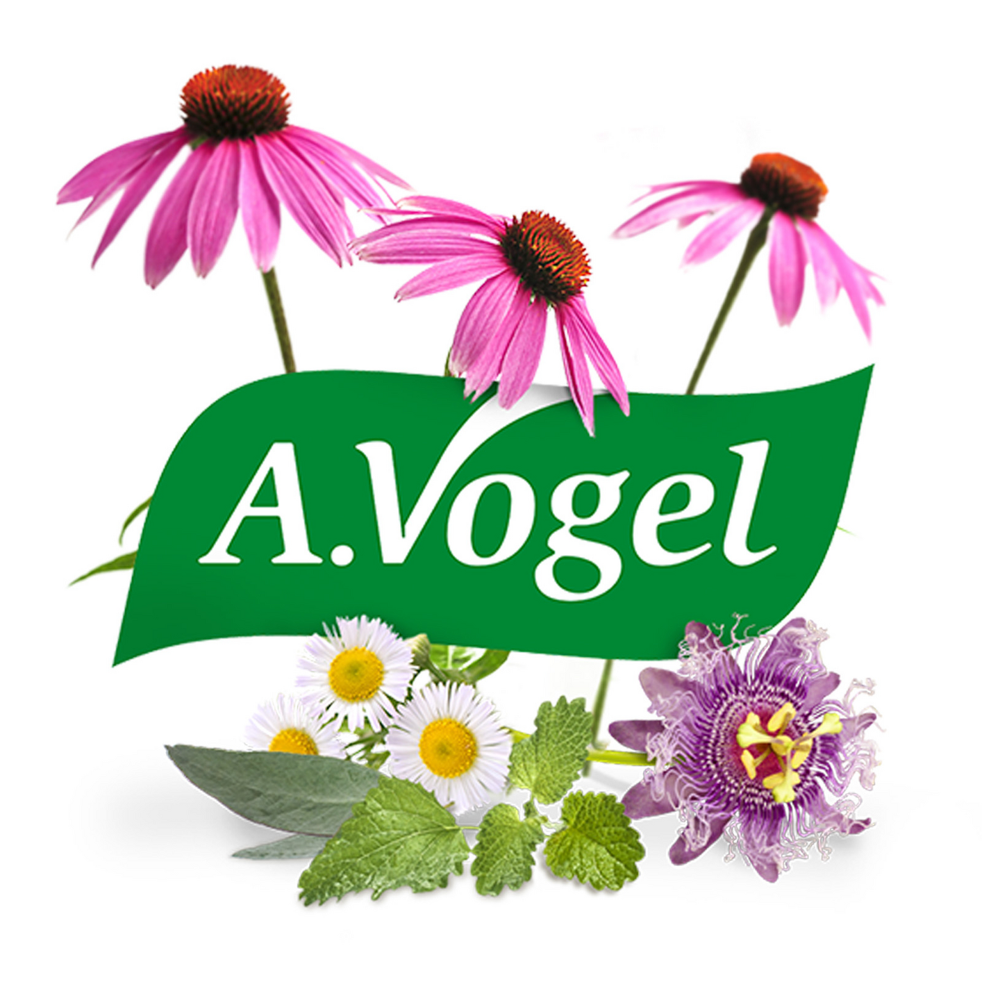 A.Vogel Neusspray Bijholteontsteking (20 ml) - image 6