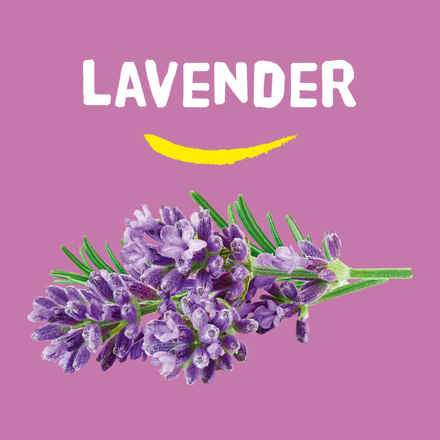 Happy Earth Pure deodorant balm lavender (45 gr) - image 5