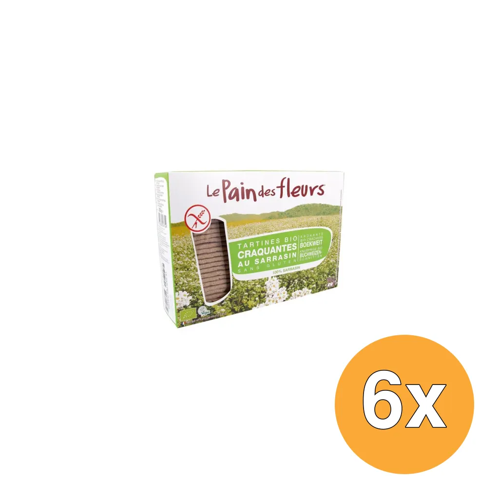 6x Le Pain Des Fleurs Boekweit Crackers Bio (300 gr)