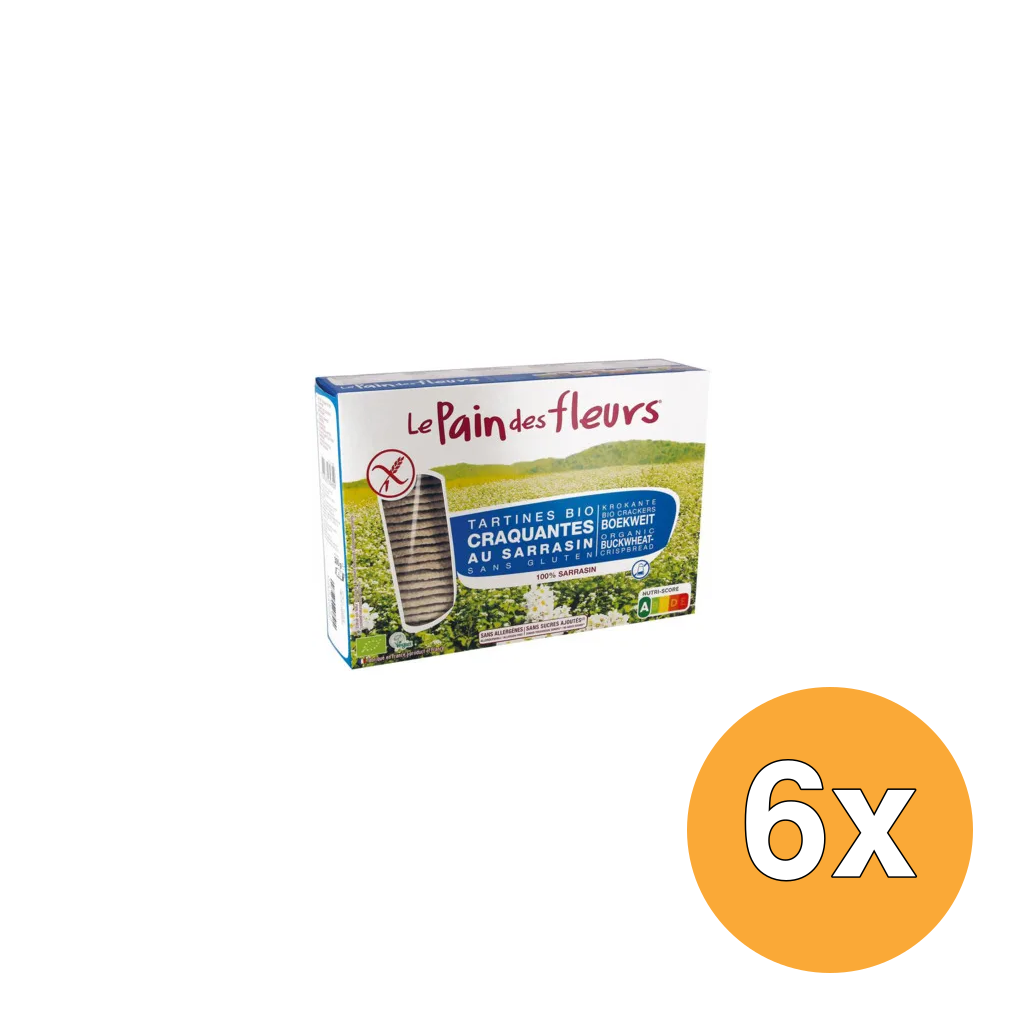 6x Le Pain Des Fleurs Boekweitcrackers Zonder Zout Bio (300 gr)