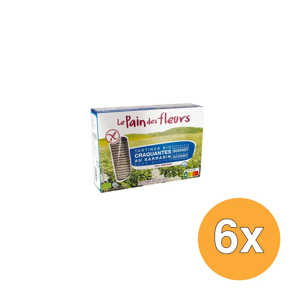 6x Le Pain Des Fleurs Boekweitcrackers Zonder Zout Bio (300 gr)