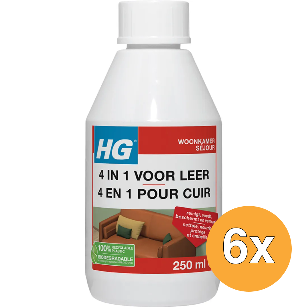 6x HG 4 In 1 Voor Leer (250 ml)