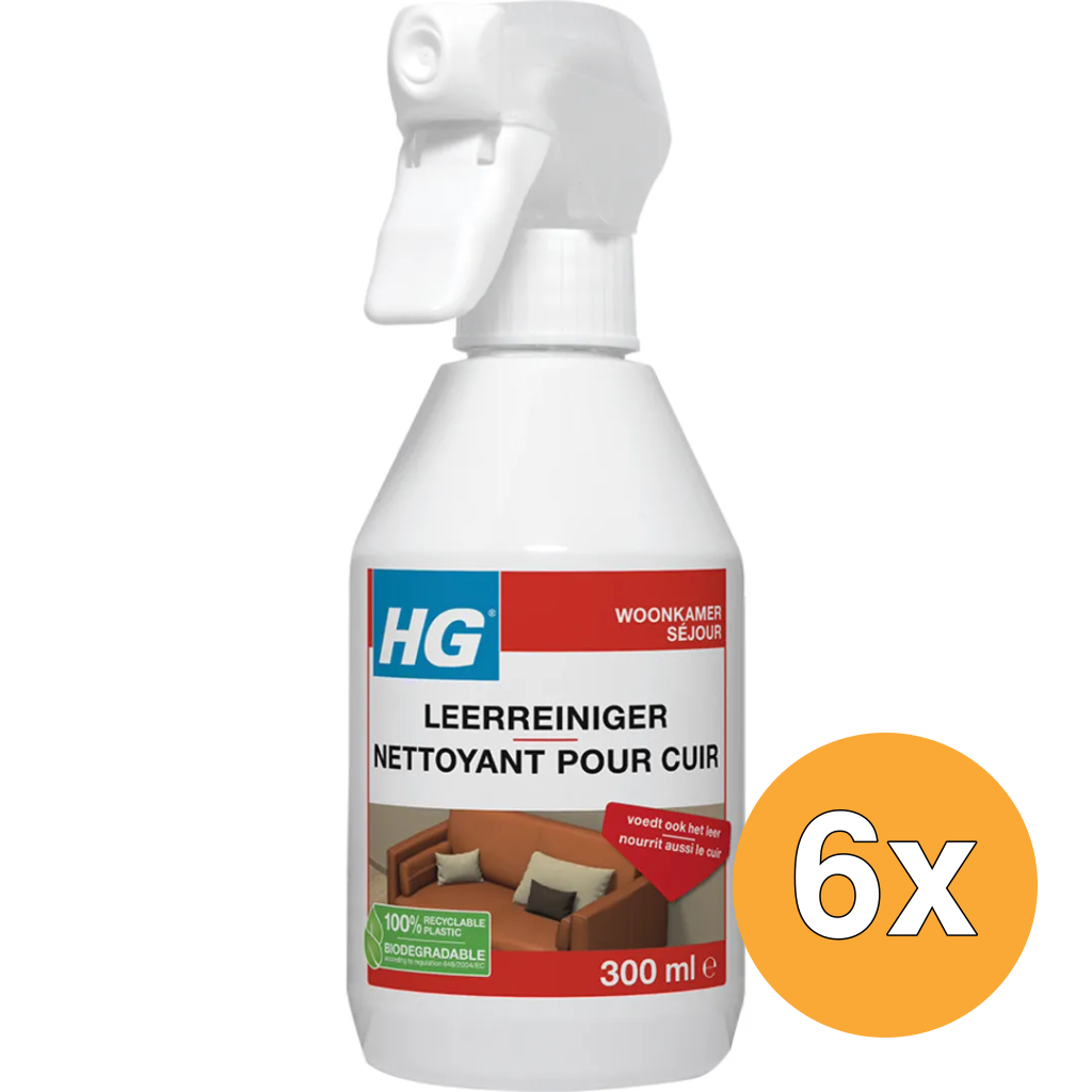 6x HG Leerreiniger (300 ml)
