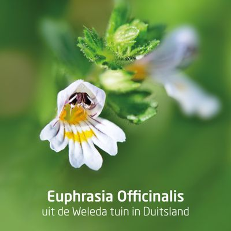 WELEDA Ogentroost oogdruppels (10 ml) - image 6