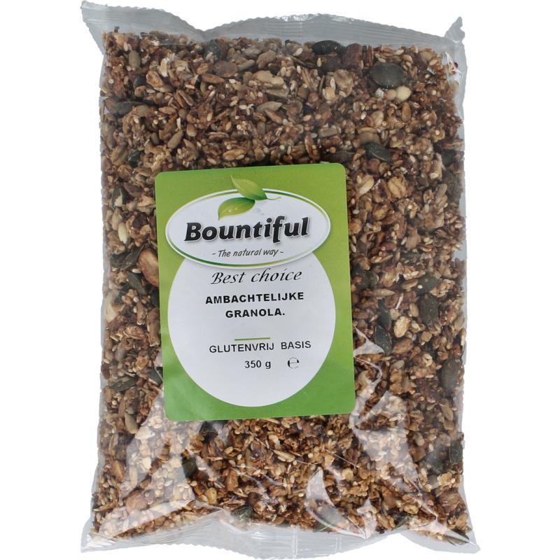Bountiful Ambachtelijke Granola Glutenvrij Bio (350 gr)