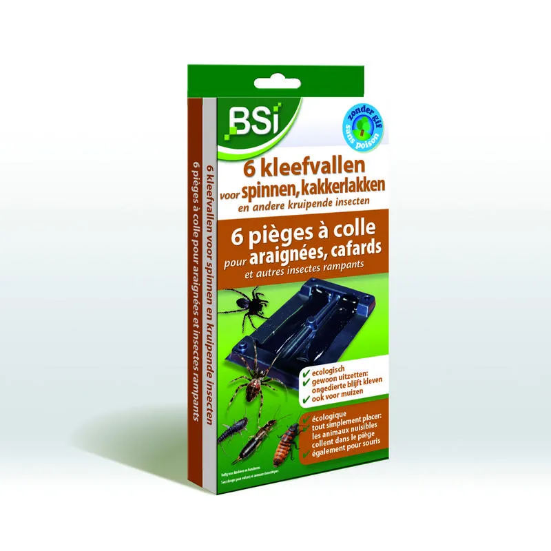 BSI Kleefvallen voor Spinnen (6 stuks)
