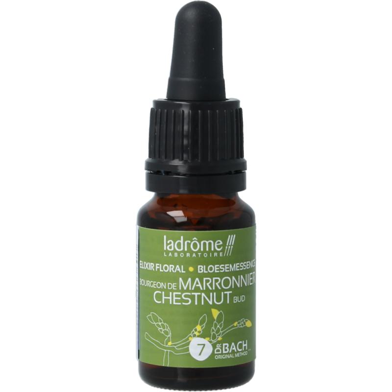 Ladrome Chestnut Bud Bio (10 ml)