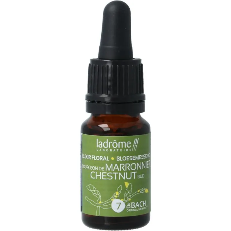Ladrome Chestnut Bud Bio (10 ml)