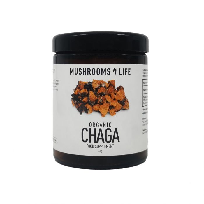 Mushrooms F Life Chaga Poeder Bio (60 gr)