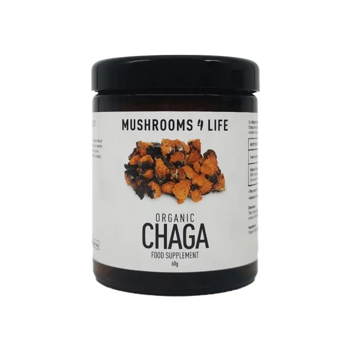 Mushrooms F Life Chaga Poeder Bio (60 gr)