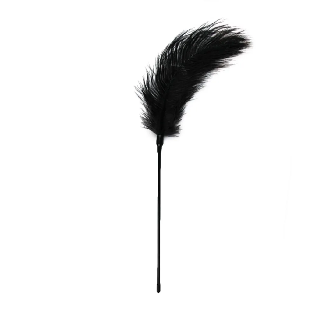 Easytoys Fetish Collection - Feather Tickler Zwart (1 stuk)
