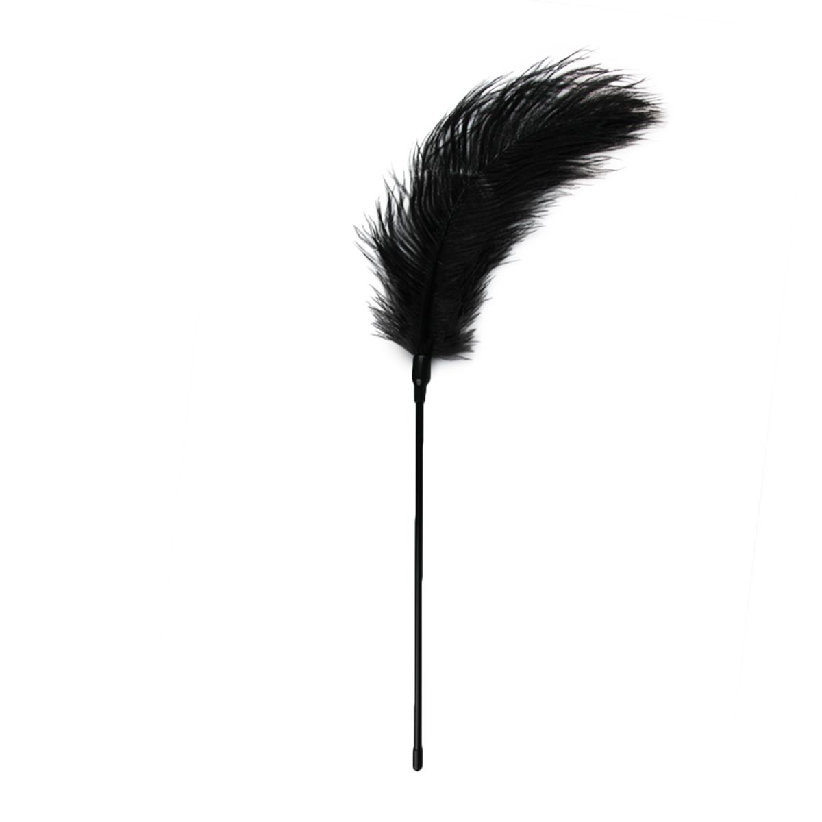 Easytoys Fetish Collection - Feather Tickler Zwart (1 stuk)