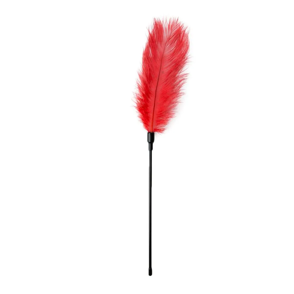 Easytoys Fetish Collection - Feather Tickler Rood (1 stuk)