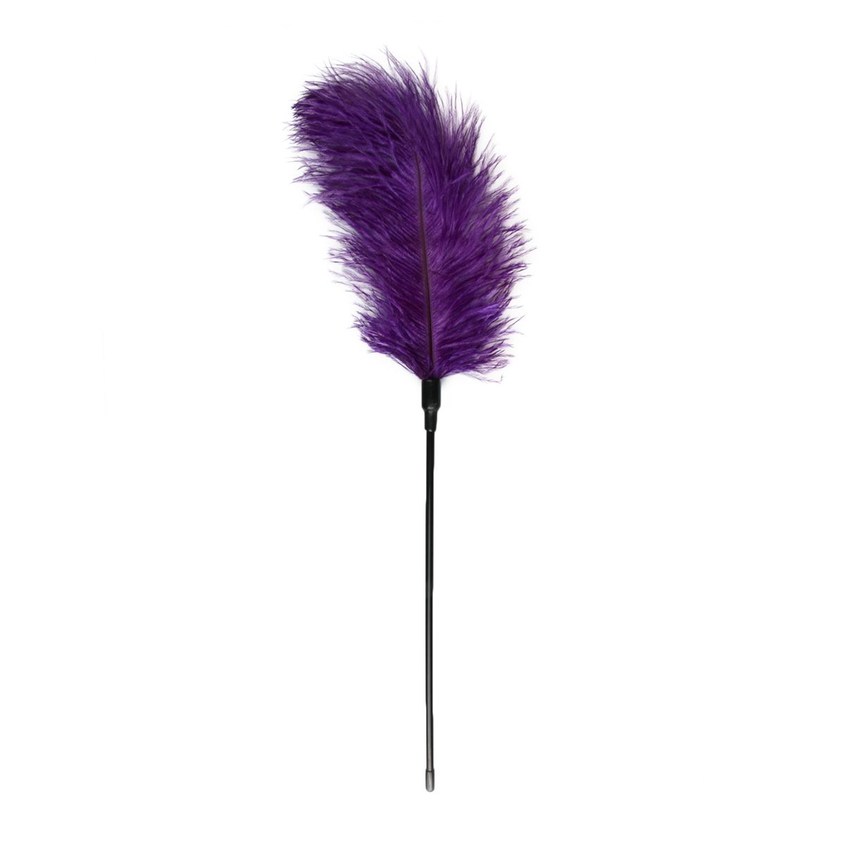 Easytoys Fetish Collection - Feather Tickler Paars (1 stuk)