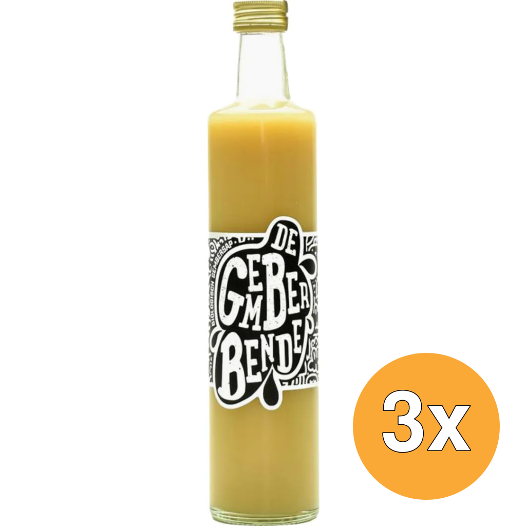 3x Vitiv De Gemberbende - Biologisch Gembersap (250 ml)