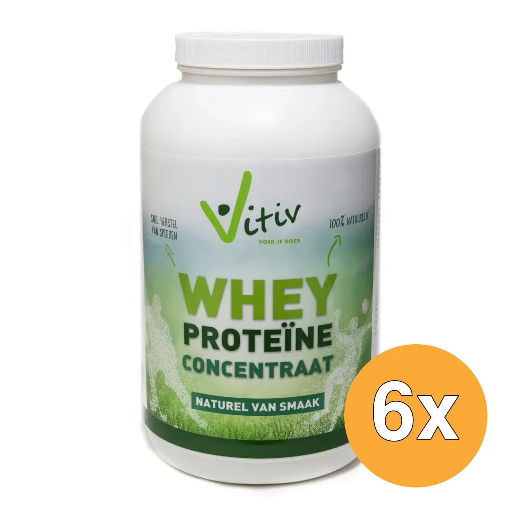 6x Vitiv Whey Proteine Concentrate 80% (500 gr)