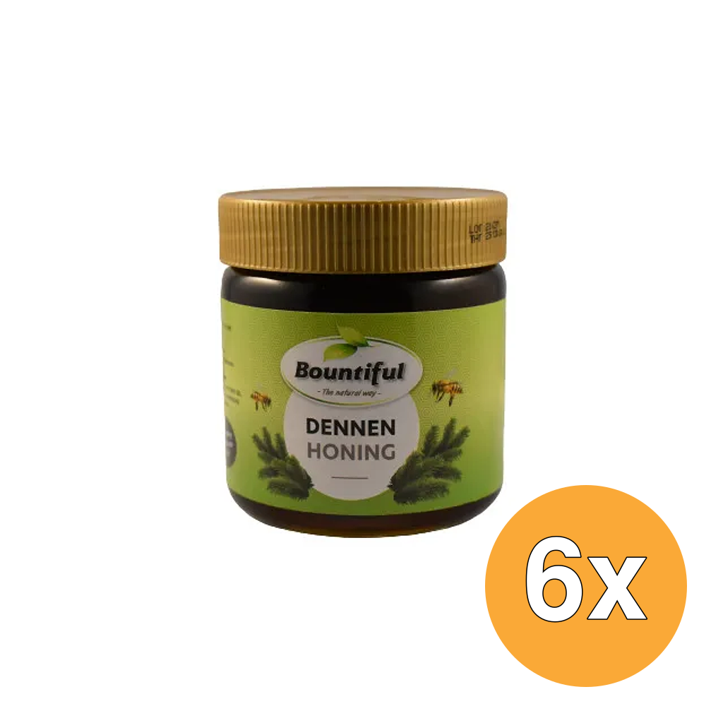 6x Bountiful Dennen Honing (500 gr)