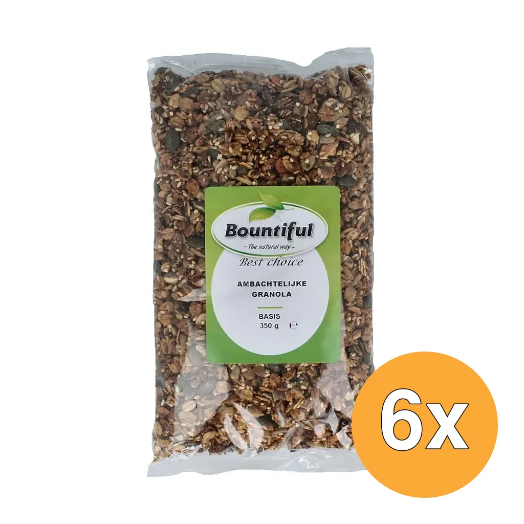 6x Bountiful Ambachtelijke Granola Basis (350 gr)