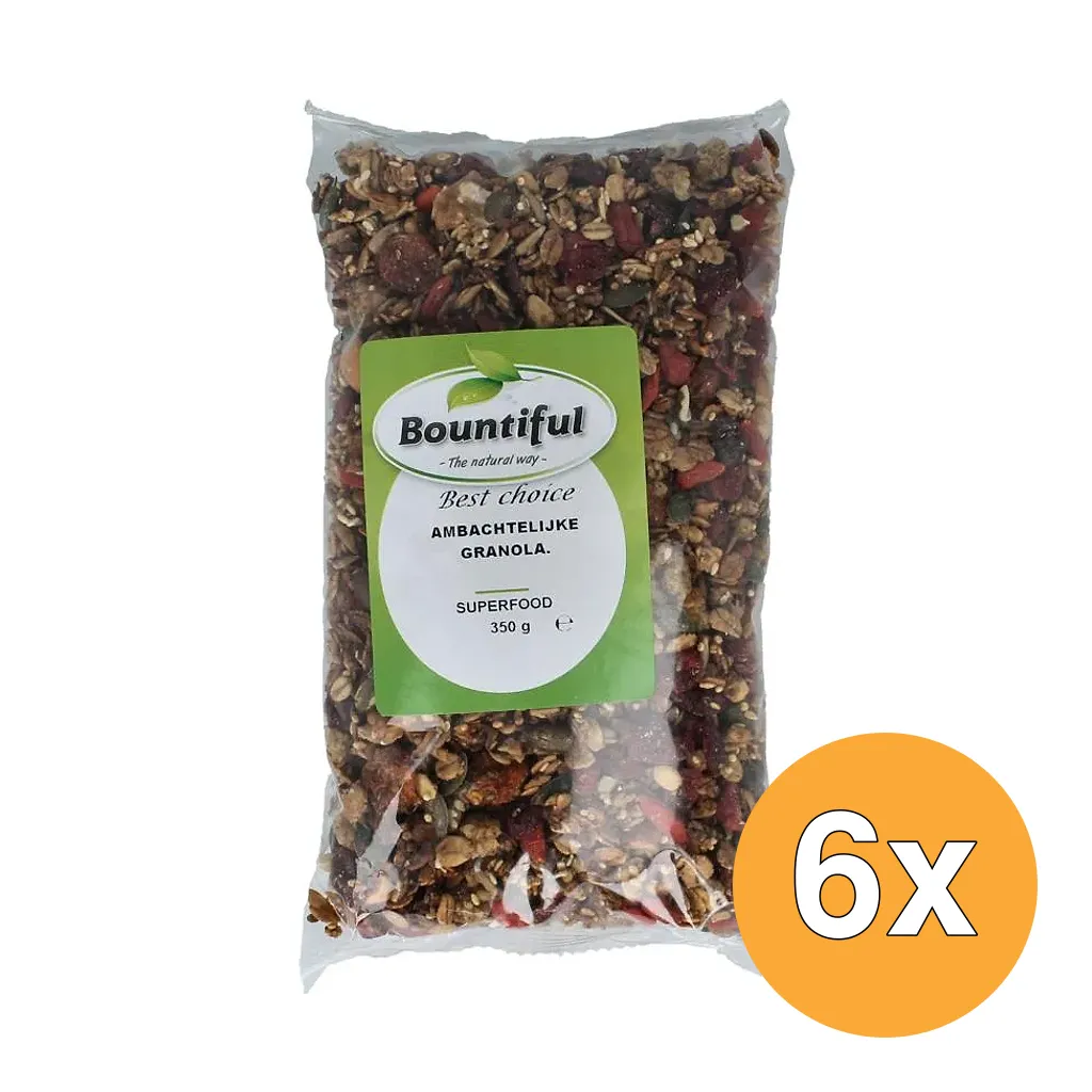 6x Bountiful Ambachtelijke Granola Superfood (350 gr)